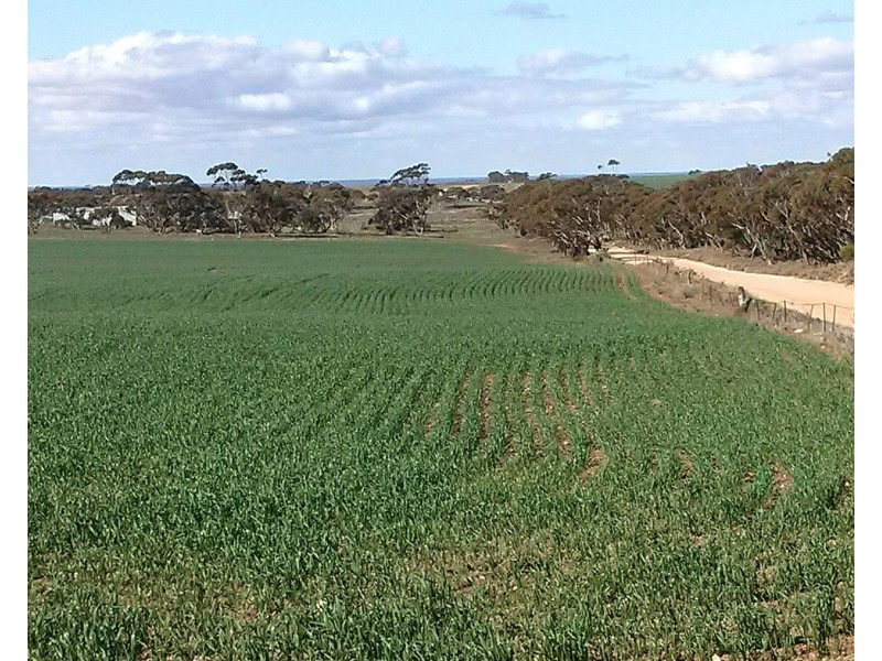 Lot 240 Angle Road, Sutherlands SA 5374