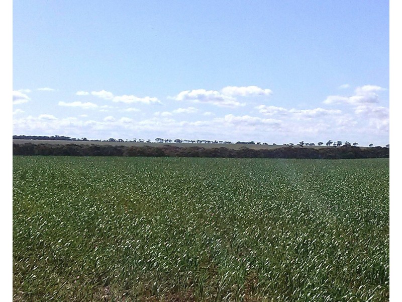 Lot 240 Angle Road, Sutherlands SA 5374