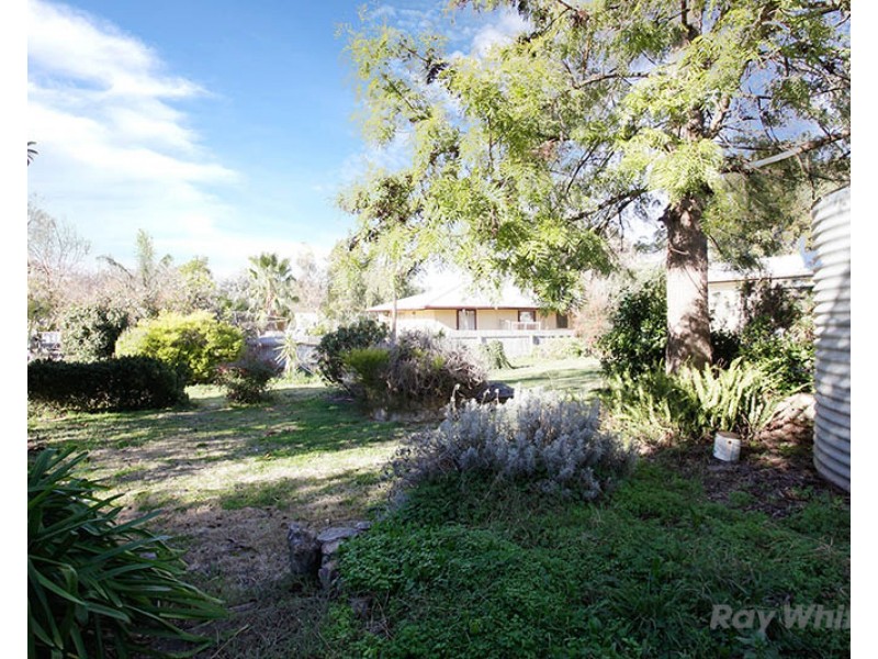 14 Pattullo Avenue, Clare SA 5453