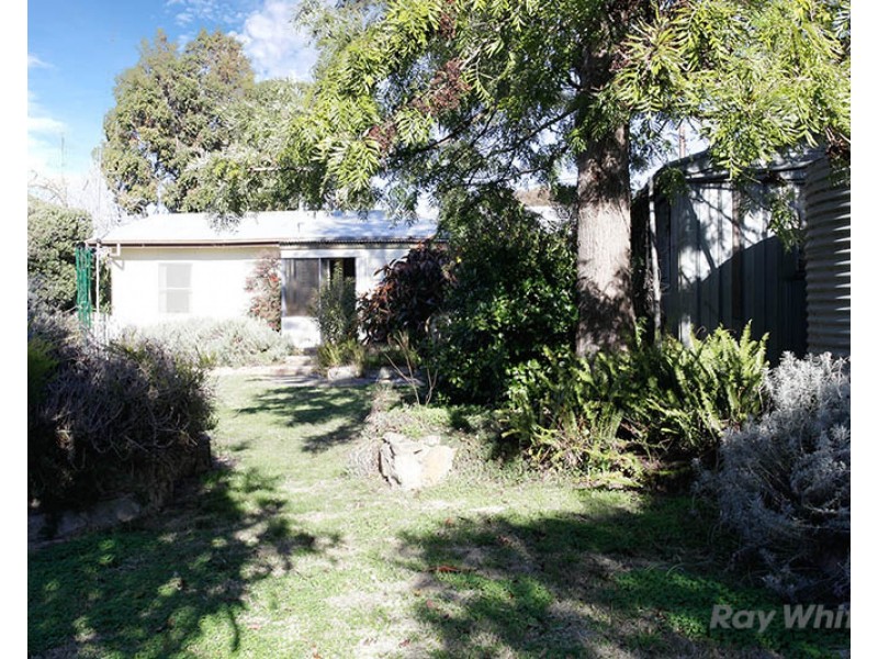 14 Pattullo Avenue, Clare SA 5453