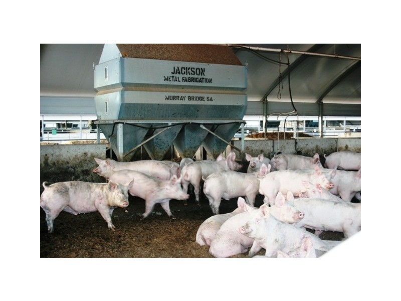 Lot 1 Boundary Road, Robertstown SA 5381