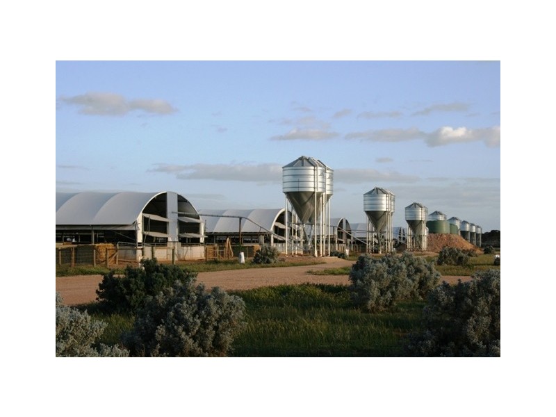 Lot 1 Boundary Road, Robertstown SA 5381