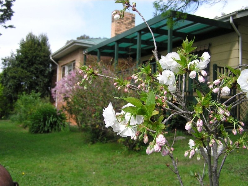 1 Stanley Place, Clare SA 5453