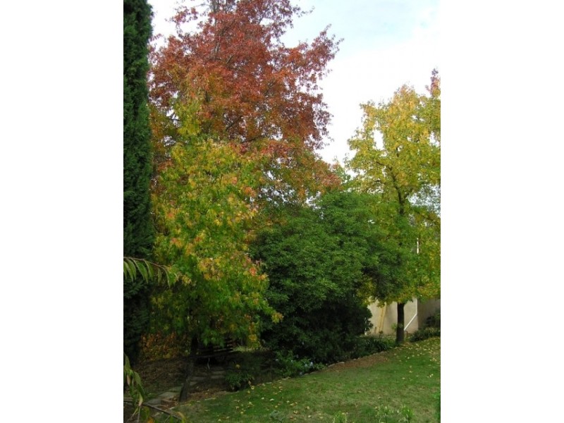 1 Stanley Place, Clare SA 5453