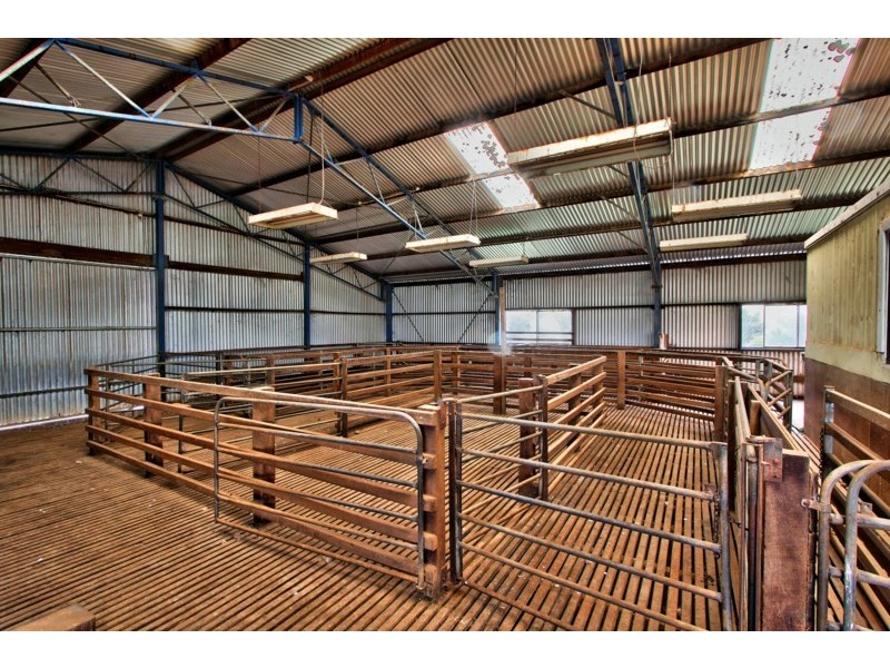 “Newikie” Old Belcunda Road, Mount Bryan SA 5418