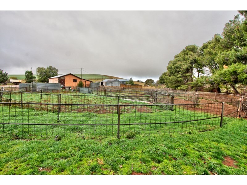 “Newikie” Old Belcunda Road, Mount Bryan SA 5418