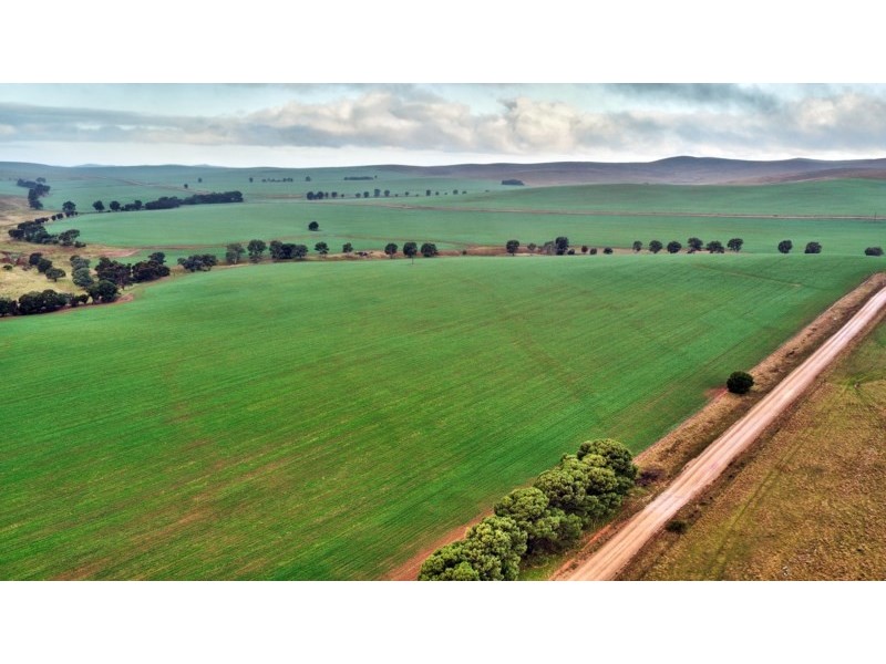 “Newikie” Old Belcunda Road, Mount Bryan SA 5418