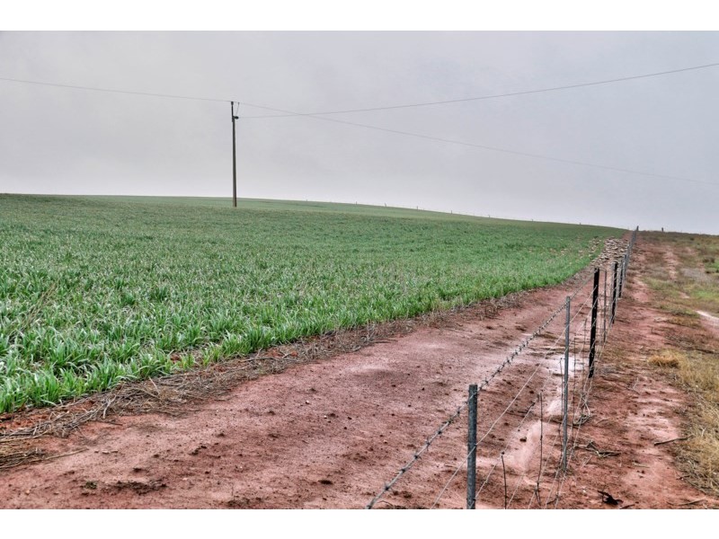 “Newikie” Old Belcunda Road, Mount Bryan SA 5418