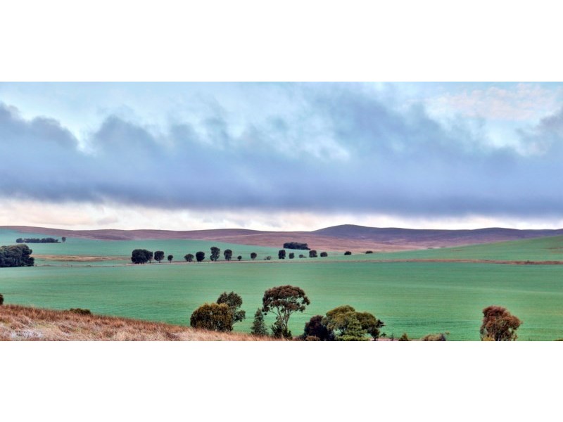 “Newikie” Old Belcunda Road, Mount Bryan SA 5418