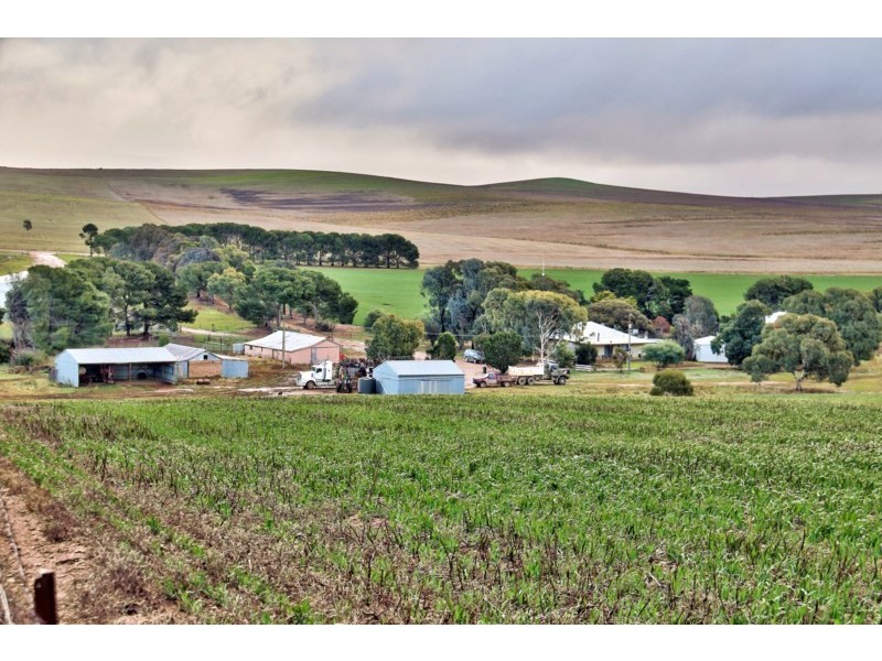 “Newikie” Old Belcunda Road, Mount Bryan SA 5418