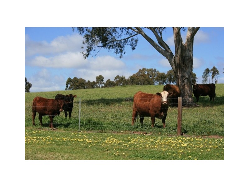 Lot 8 Gaelic Cemetery Road, Clare SA 5453