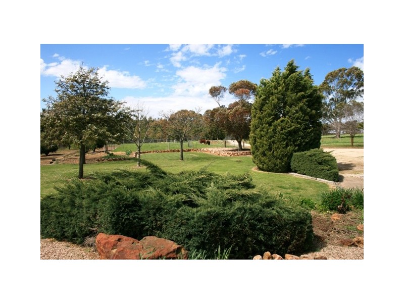 Lot 8 Gaelic Cemetery Road, Clare SA 5453