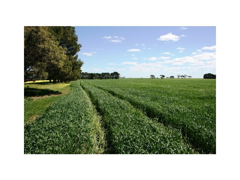 1-3 Youngs Road, Owen SA 5460