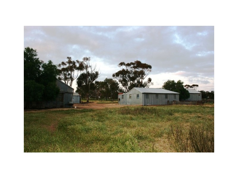 1-3 Youngs Road, Owen SA 5460