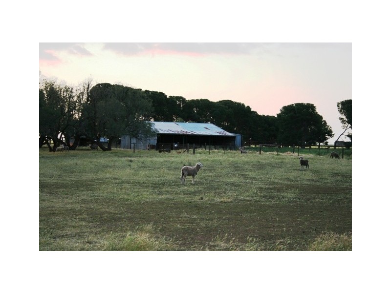 1-3 Youngs Road, Owen SA 5460