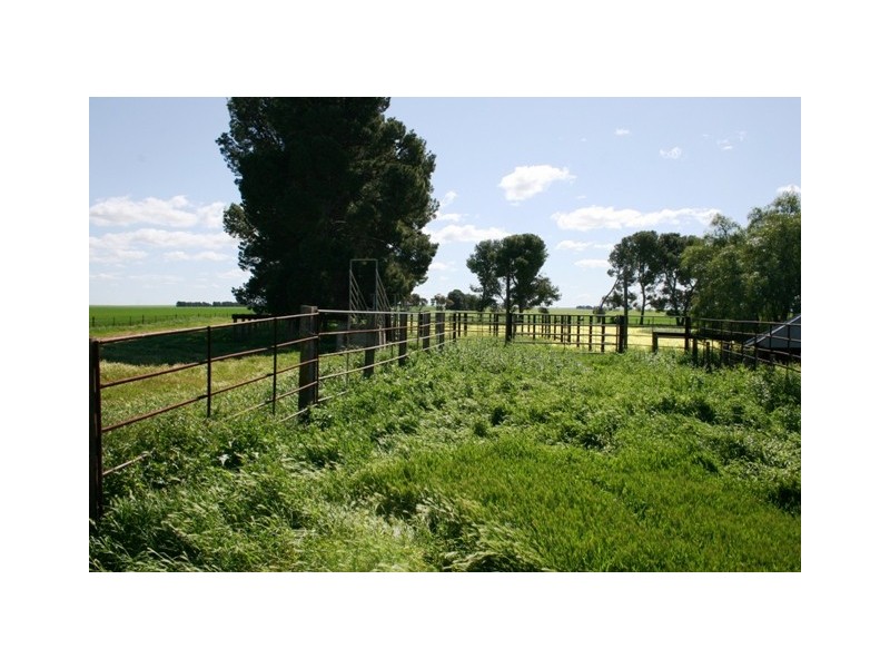 1-3 Youngs Road, Owen SA 5460