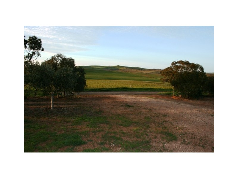 Aubrae Grove, Auburn SA 5451