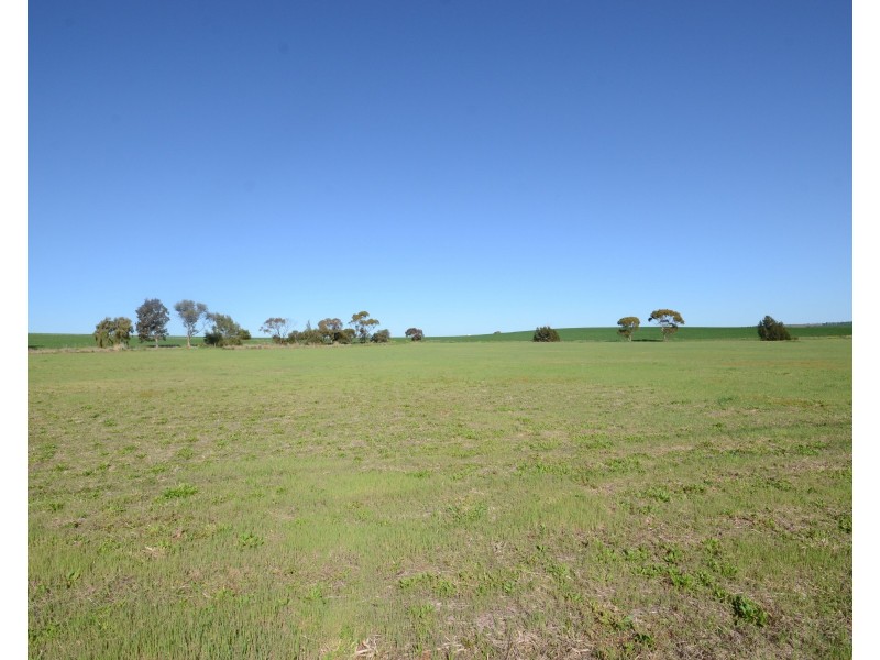 Lot 93 Saddleworth Road, Auburn SA 5451