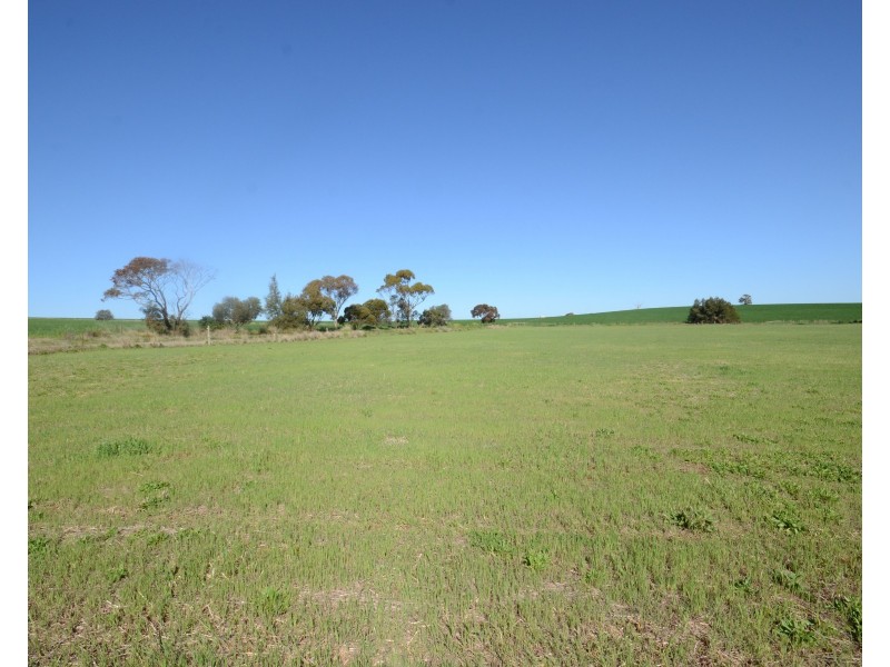 Lot 93 Saddleworth Road, Auburn SA 5451