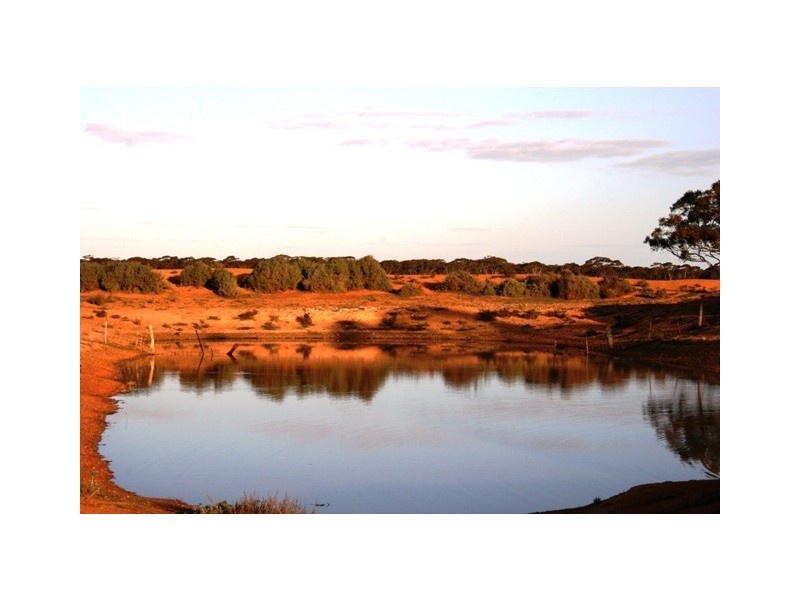 “Nettica” Boundary Road via Bower, Robertstown SA 5381