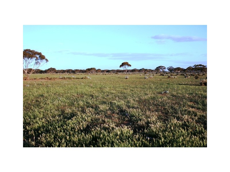 “Nettica” Boundary Road via Bower, Robertstown SA 5381