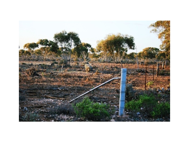 “Nettica” Boundary Road via Bower, Robertstown SA 5381