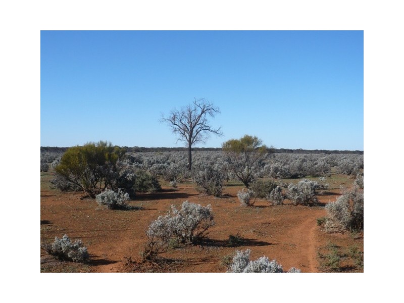 “Nettica” Boundary Road via Bower, Robertstown SA 5381