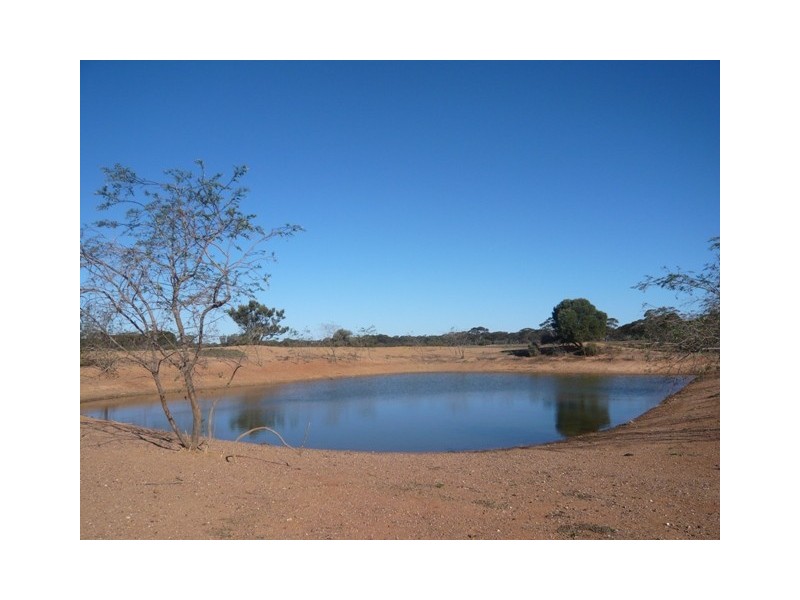 “Nettica” Boundary Road via Bower, Robertstown SA 5381