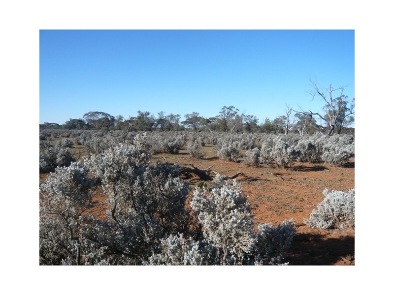 “Nettica” Boundary Road via Bower, Robertstown SA 5381