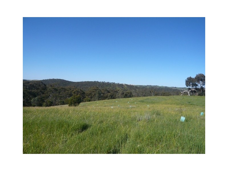 Lot 4 Possingham Pit Road, Sevenhill SA 5453