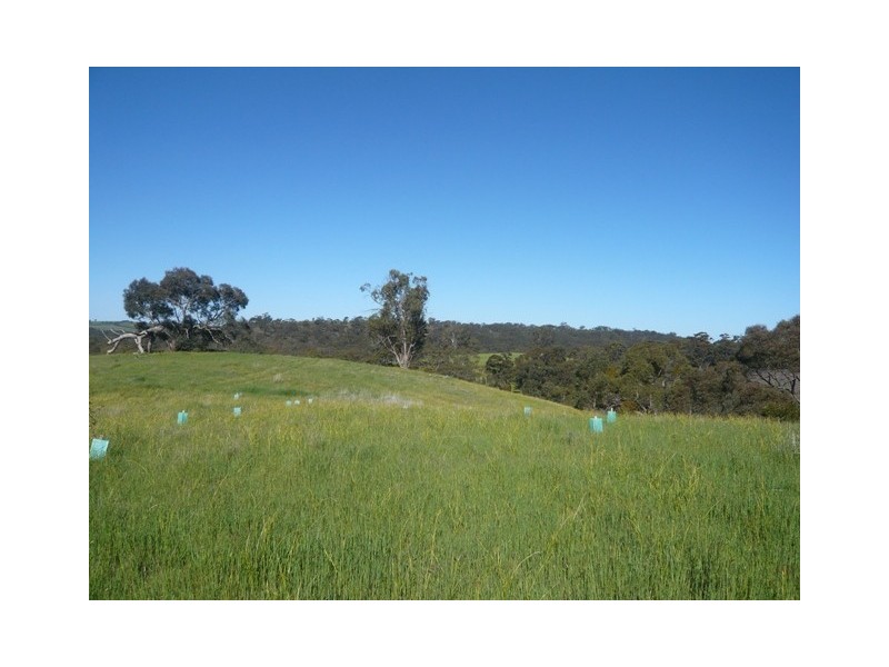 Lot 4 Possingham Pit Road, Sevenhill SA 5453