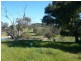 Lot 4 Possingham Pit Road, Sevenhill SA 5453
