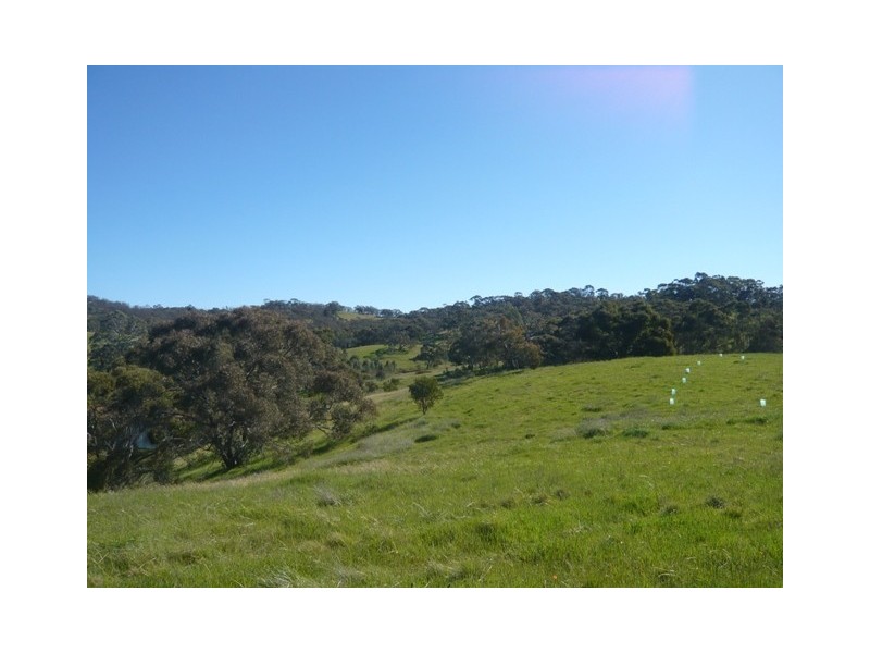 Lot 4 Possingham Pit Road, Sevenhill SA 5453