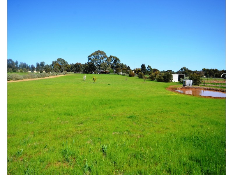 95 Raglan Street, Auburn SA 5451