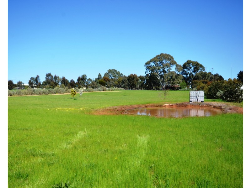 95 Raglan Street, Auburn SA 5451