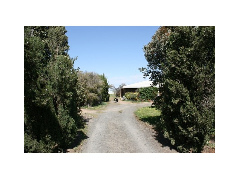 1 Napier Street, Farrell Flat SA 5416