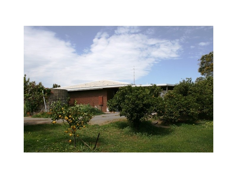 1 Napier Street, Farrell Flat SA 5416