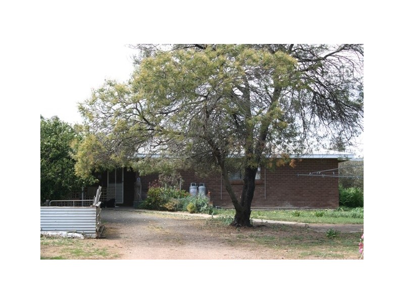 1 Napier Street, Farrell Flat SA 5416