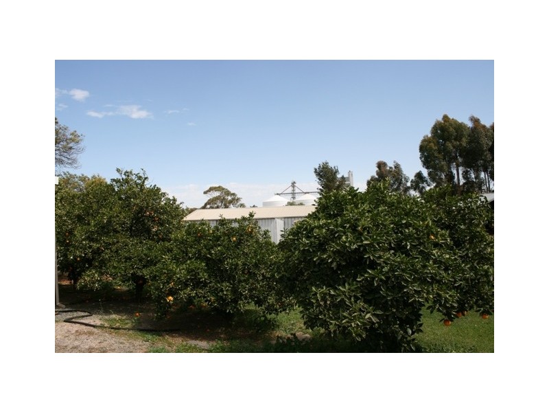 1 Napier Street, Farrell Flat SA 5416