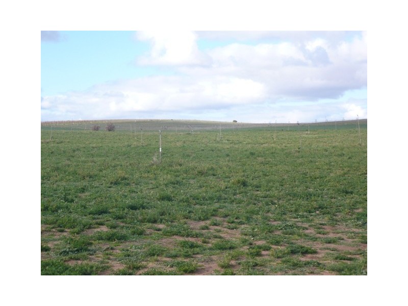 Lot 1 Murbko Via, Blanchetown SA 5357