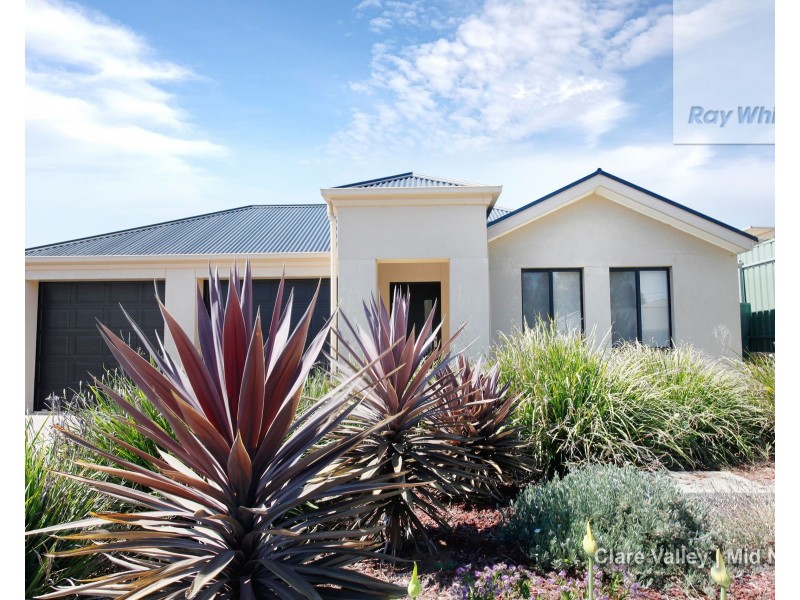 19 Pandappa Drive, Clare SA 5453
