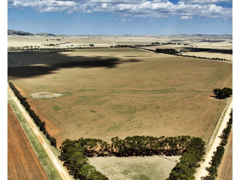 “Donara” Donara Road, Mount Bryan SA 5418