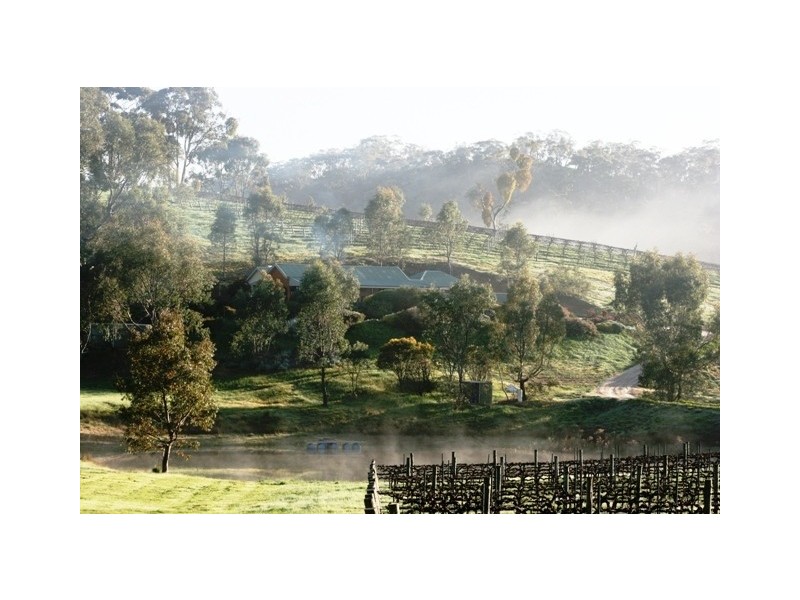 51 Hughes Park Road, Clare SA 5453