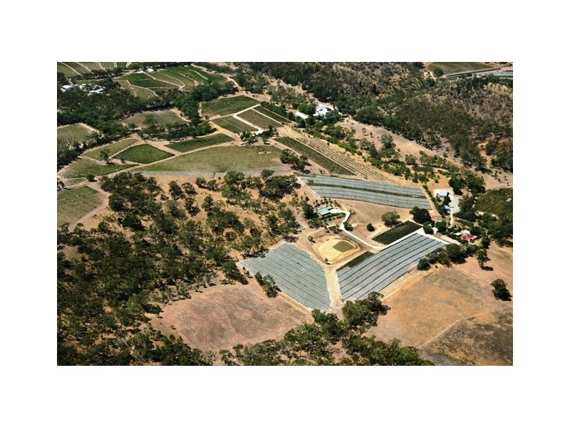 51 Hughes Park Road, Clare SA 5453