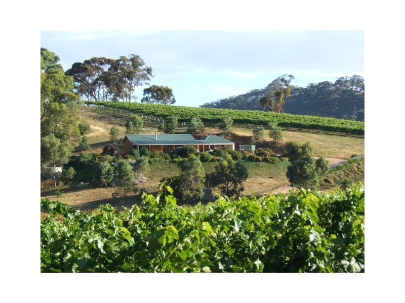 51 Hughes Park Road, Clare SA 5453