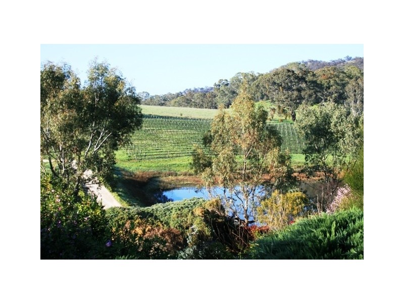 51 Hughes Park Road, Clare SA 5453