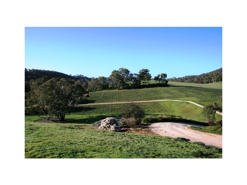 51 Hughes Park Road, Clare SA 5453