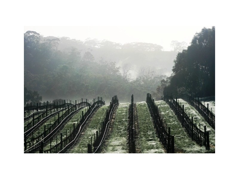 51 Hughes Park Road, Clare SA 5453