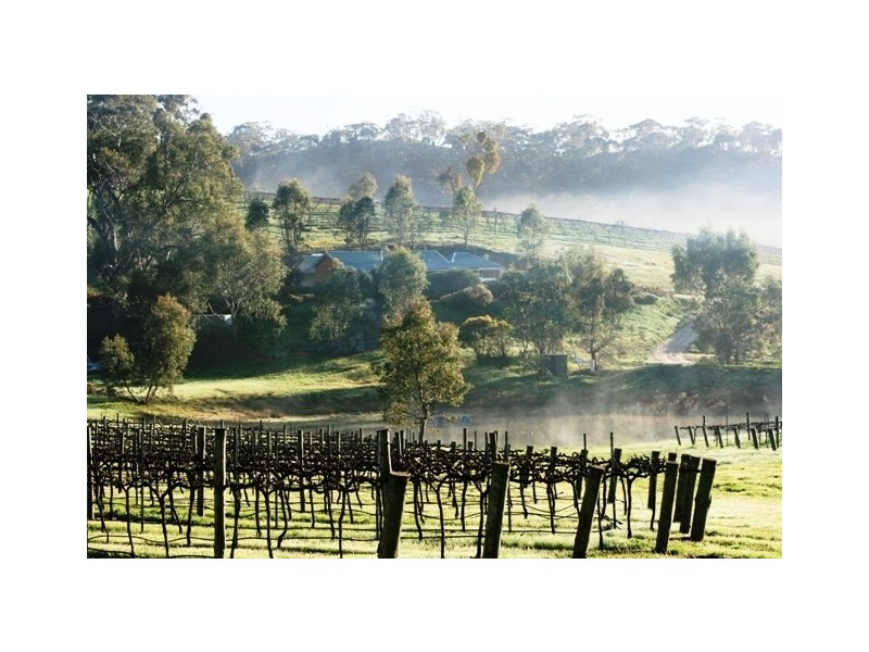 51 Hughes Park Road, Clare SA 5453