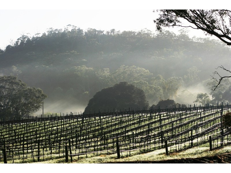 51 Hughes Park Road, Clare SA 5453